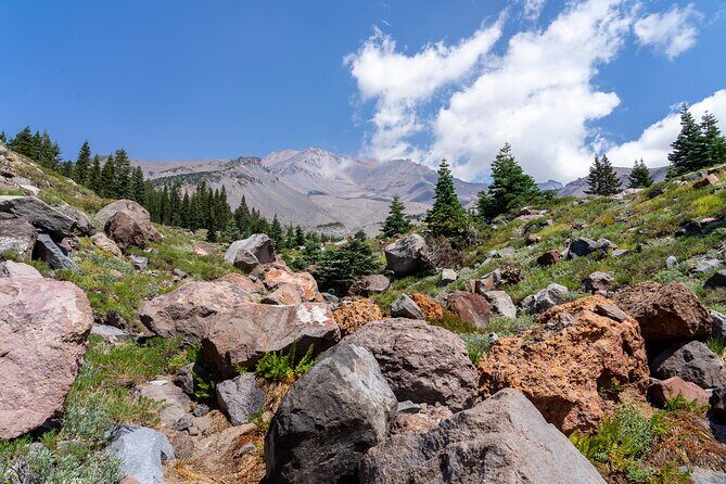 Half Day Tour to Faery Waterfalls, Castle Lake and Mount Shasta - Key Points