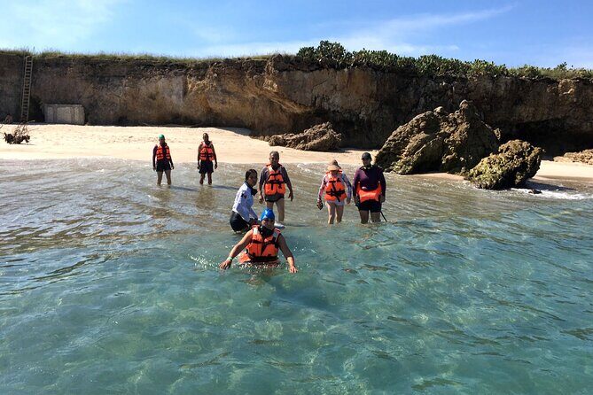 Half-Day Tour to Marietas Islands, Playa Nopalera by Speedboat - Key Points