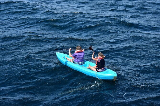 Half-Day Tour to Marietas Islands, Playa Nopalera by Speedboat - Who Will This Tour Suit Best?