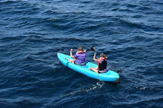 Half-Day Tour to Marietas Islands, Playa Nopalera by Speedboat - The Sum Up: Who Should Consider This Tour?