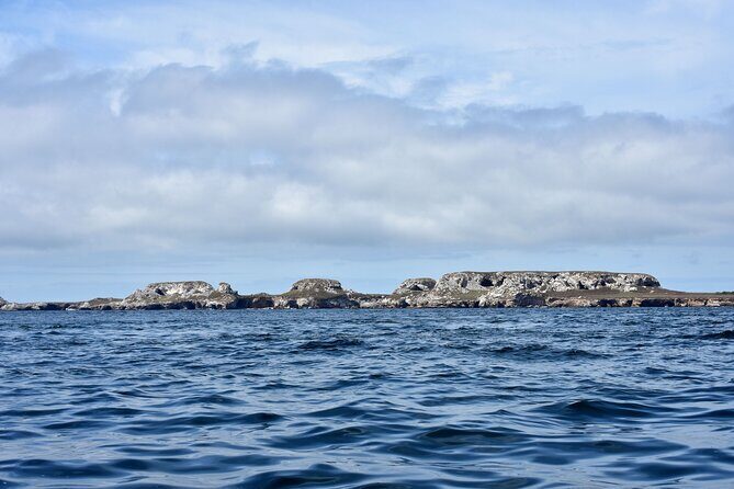 Half-Day Tour to Marietas Islands, Playa Nopalera by Speedboat - Frequently Asked Questions