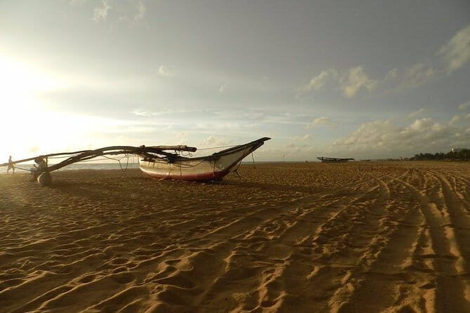 Half Day Tour to Muthurajawela, Lagoon, Dutch Canal and Mangroves - The Real Value: Insights from Reviewers