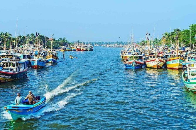 Half Day Tour to Muthurajawela, Lagoon, Dutch Canal and Mangroves - FAQ