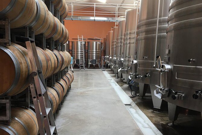 Half-day tour to Saint Emilion, a UNESCO site, with a private guide - Who Should Book This Tour?