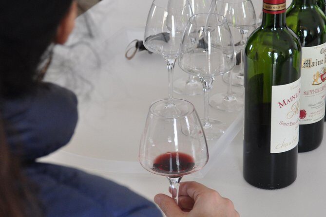 Half-day tour to Saint Emilion, a UNESCO site, with a private guide - The Sum Up