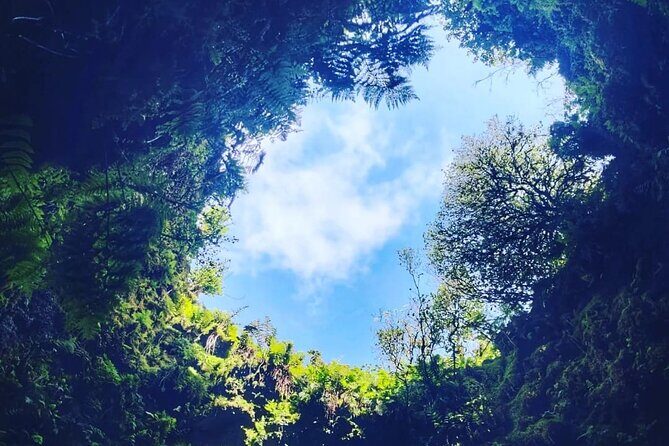 Half Day Tour to the Caves - An In-Depth Look at the Tour Experience