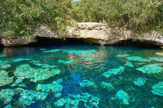 Half Day Tour to Tulum with Snorkel and Cenote from Riviera Maya - FAQ