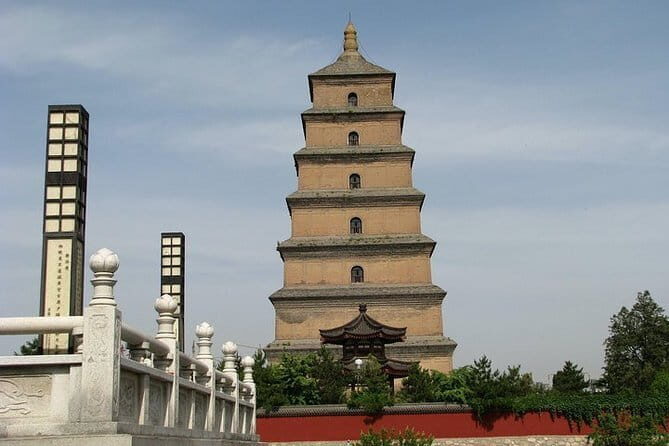 Half Day Tour to Xi'an Wild Panda Breeding and Protecting Center - Final Thoughts: Who Should Consider This Tour?