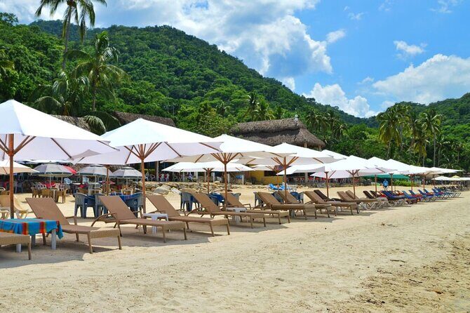 Half Day Tour with Snorkeling in Colomitos and Playa las Animas - Who Should Consider This Tour?