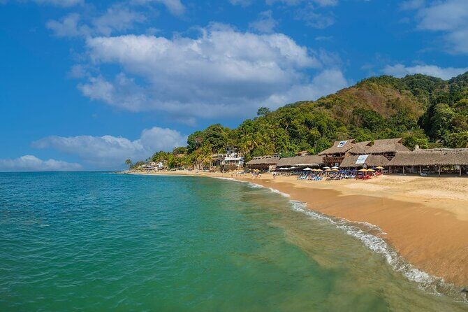 Half Day Tour with Snorkeling in Colomitos and Playa las Animas - The Sum Up