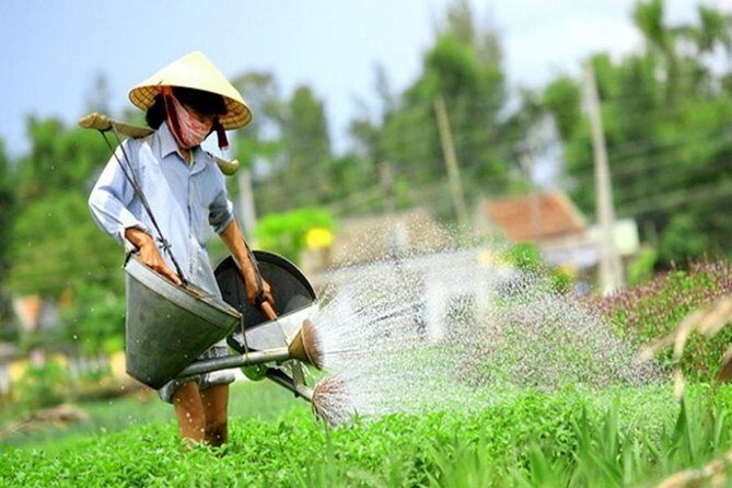 Half -Day Tra Que Herbal Village Tour from Hoi An - An In-Depth Review of the Tra Que Herbal Village Tour