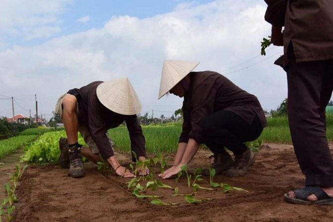 Half -Day Tra Que Herbal Village Tour from Hoi An - Analyzing the Value: Is It Worth It?