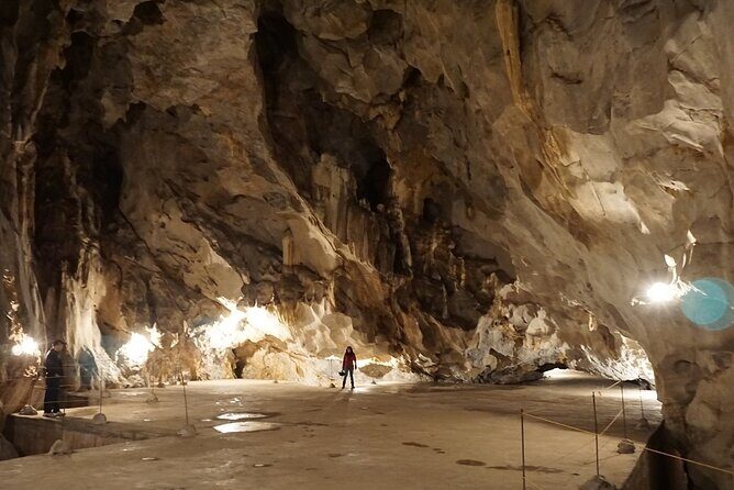 Half Day Trekking Cat Ba National Park - Who Should Book This Tour?