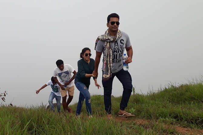 half day trekking - Introduction: A Walk Through Munnar’s Heart