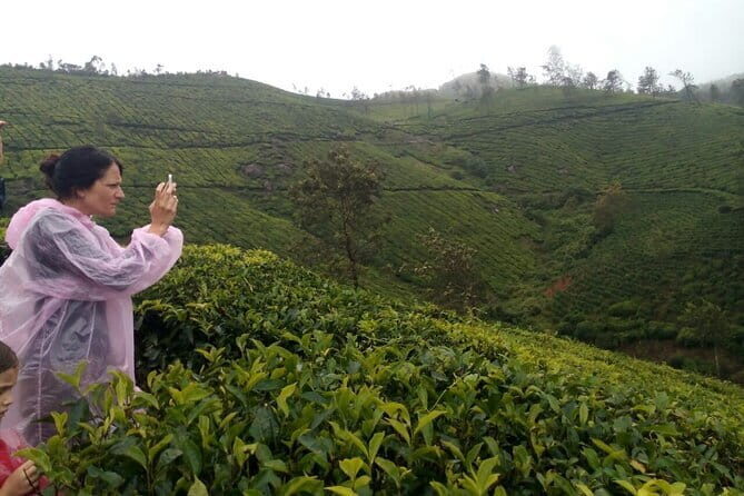 Half Day Trekking In Munnar - A Deep Dive into the Munnar Trekking Experience