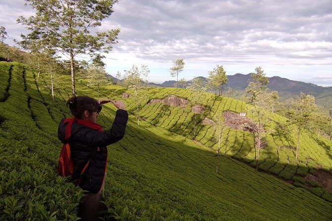 Half day trekking (munnar valley Trekking & Tours ) - The Sum Up - Why You Should Consider This Trek