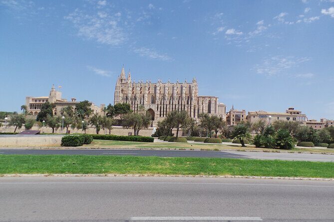 Half Day Trike Tour from Paguera - Who is this tour best suited for?