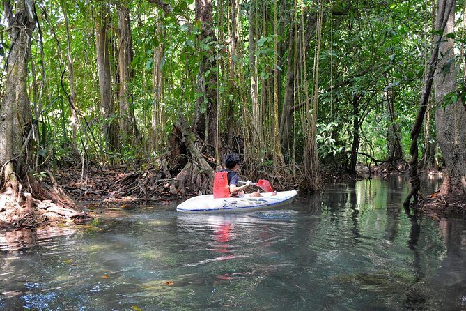 Half-Day Trip to Blue Lagoon at Klong Sra Kaew with Kayaking & ATV - Authentic Insights from Travelers