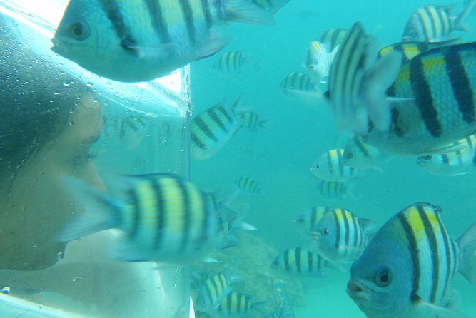 Half-Day Trip to Koh Hey: Snorkeling & Relaxation - Authentic Insights from Past Travelers