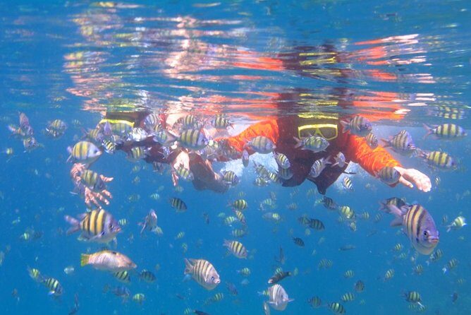 Half-Day Trip to Koh Hey: Snorkeling & Relaxation - Who Is This Tour Best For?