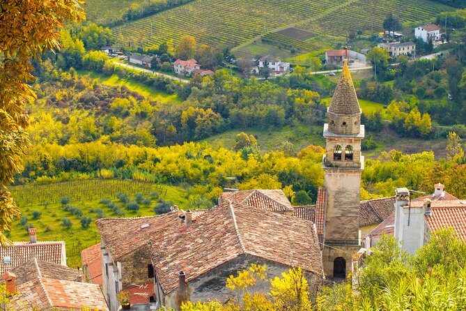 Half day trip to Motovun with Local Brandies Tasting - The Value of This Tour