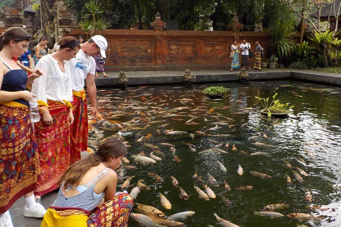 Half-Day Ubud Electric Cycling Tour to Tirta Empul Water Temple - Discovering Bali’s Natural Beauty by Electric Bike