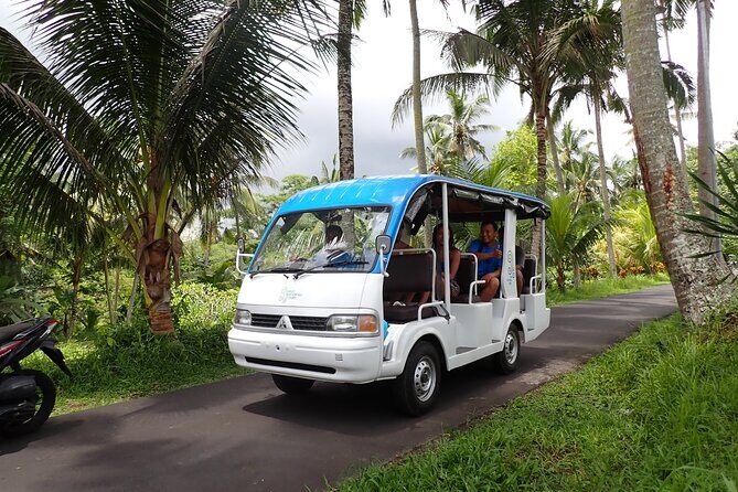 Half Day Ubud Waterfall Tour - Introduction