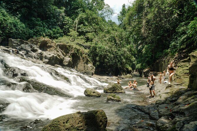 Half Day Ubud Waterfall Tour - In-Depth Look at the Itinerary