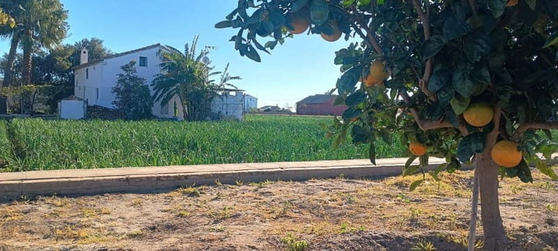 Half Day Valencia Foodie Cycling Tour - Value and Practicality