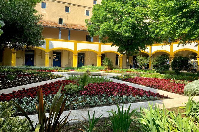 Half-Day Van Gogh Tour of Provence from Avignon - A Deep Dive into the Van Gogh Provence Experience