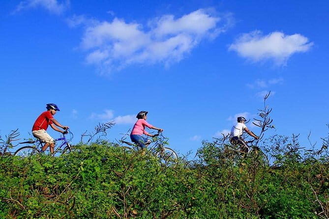 Half Day Village Cycling Tour in Yala: - In-Depth Review of the Half Day Village Cycling Tour in Yala
