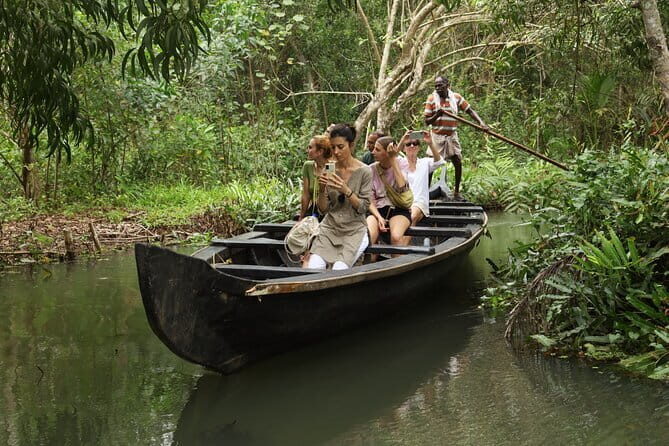 Half Day Village Evening Eco House Boat Tour - Key Points