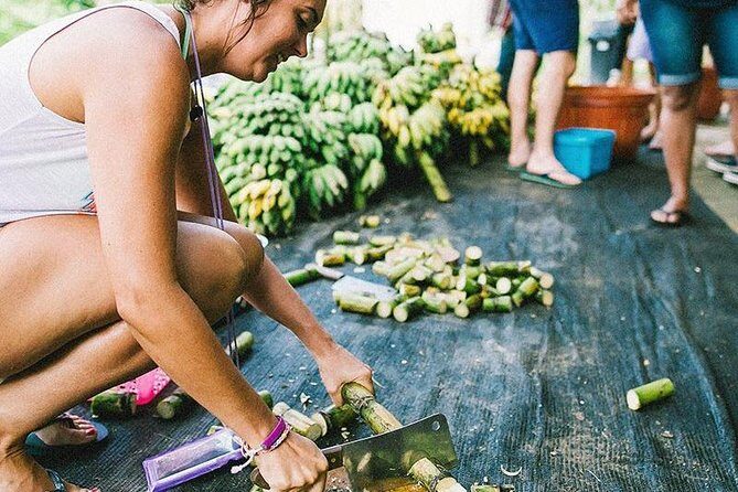 Half Day Visit Elephant Sanctuary in Samui - The Sum Up