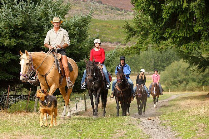 Half Day Walter Peak Horse Trek and Cruise from Queenstown - The Sum Up: Who Is This Tour Best For?