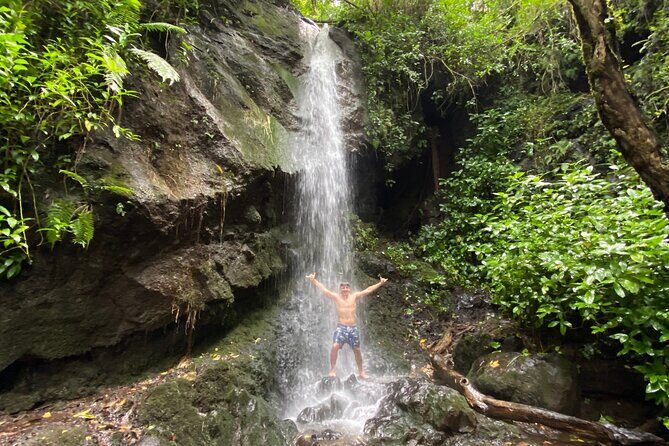 Half-Day Waterfall Tour - Hike, Scenic, Food and Photo - Authentic Waterfall Adventure in Honolulu: What You Need to Know