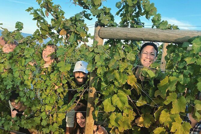 Half-Day West Kelowna Afternoon Wine tour - In-Depth Review of the West Kelowna Wine Tour