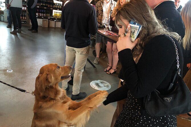 Half-Day West Kelowna Afternoon Wine tour - FAQ