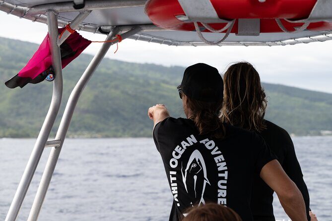 Half day Whales watching PRIVATE group - What Makes the Whale Watching Experience Special?
