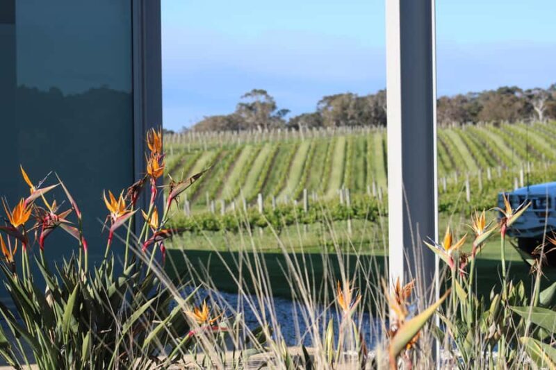 Half day Wine and Sights Discovery Tour Busselton - The Experience: A Real Balance