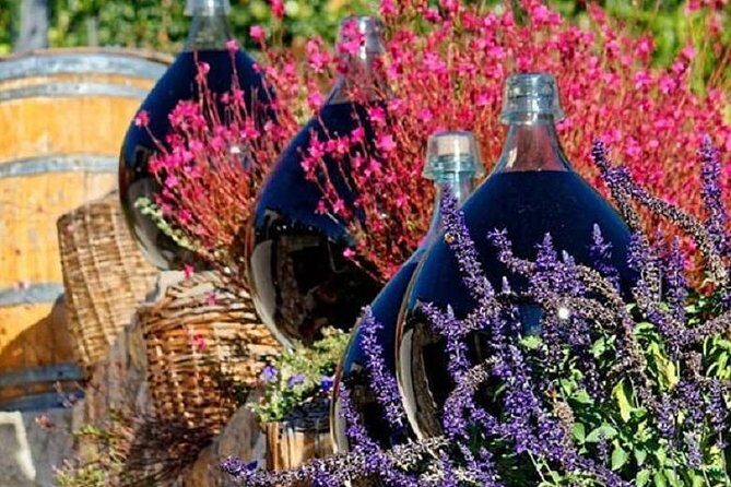 Half-Day Wine Tasting and Saint Paul de Vence Tour from Nice - Final Thoughts: Who Is This Tour Best For?