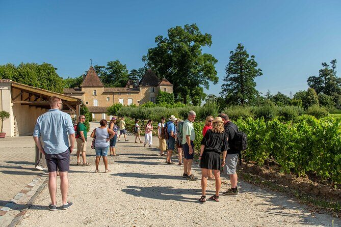 Half-Day Wine tour across Bordeauxs Vineyards - Key Points
