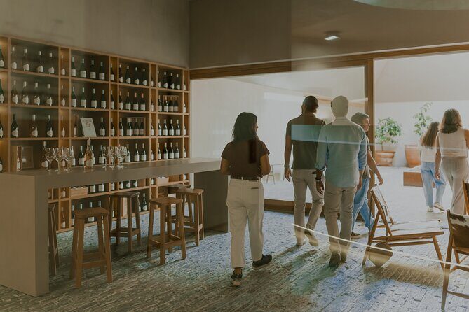 Half Day Wine Tour Around Evora - Who Should Consider This Tour?