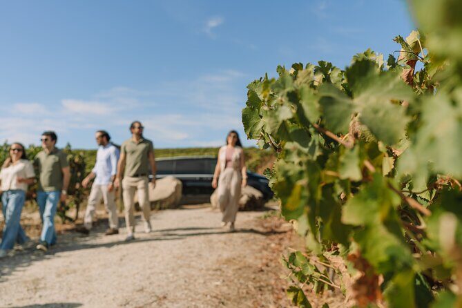 Half Day Wine Tour Around Evora - What’s Included and What Not