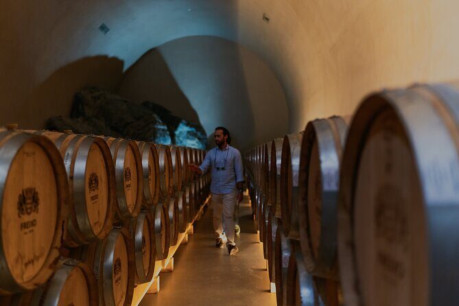 Half Day Wine Tour Around Evora - Authentic Experiences and What Travelers Say