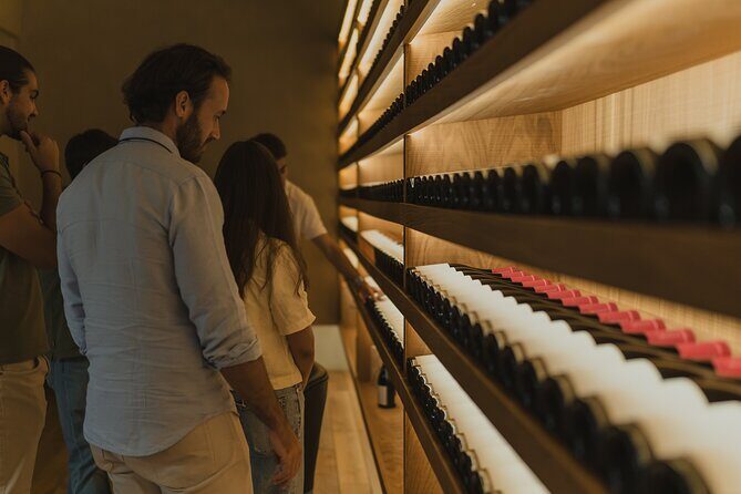 Half Day Wine Tour Around Evora - Practical Tips for Your Wine Tour