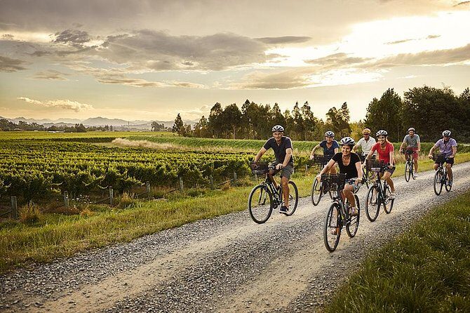 Half-Day Wine Tour from Blenheim - The Flipside: What to Keep in Mind