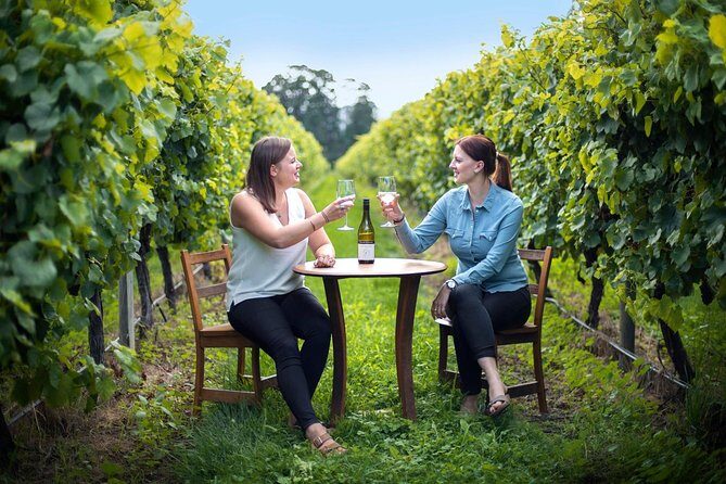 Half-Day Wine Tour from Picton - A Taste of Marlborough: The Half-Day Wine Tour from Picton