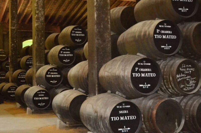 Half-Day Wine Tour in Andalusia in small group - What Makes This Tour Stand Out