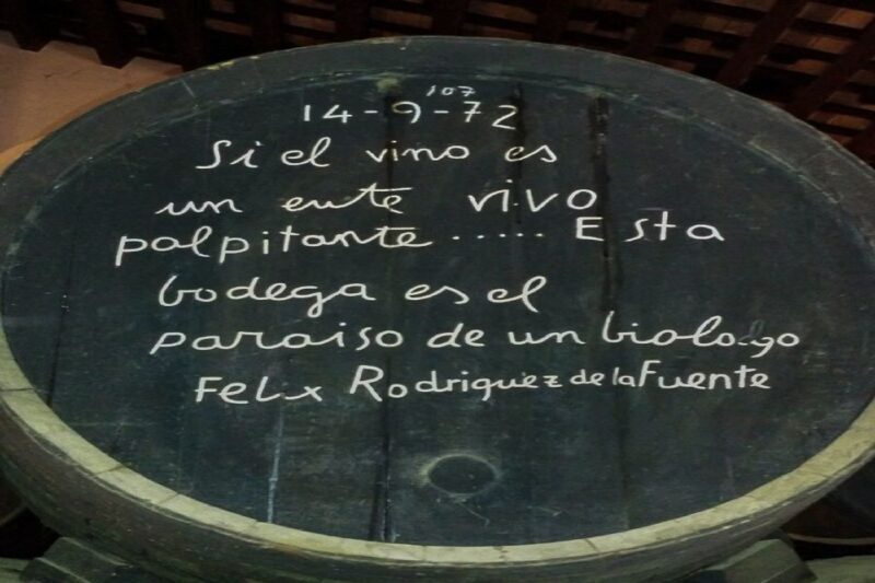 Half-Day Wine Tour in Andalusia in small group - Practical Information