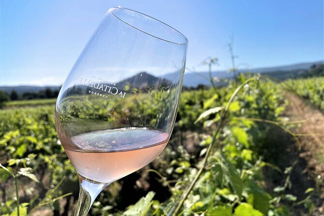 Half day Wine Tour in Bandol & Cassis from Aix en Provence - Key Points